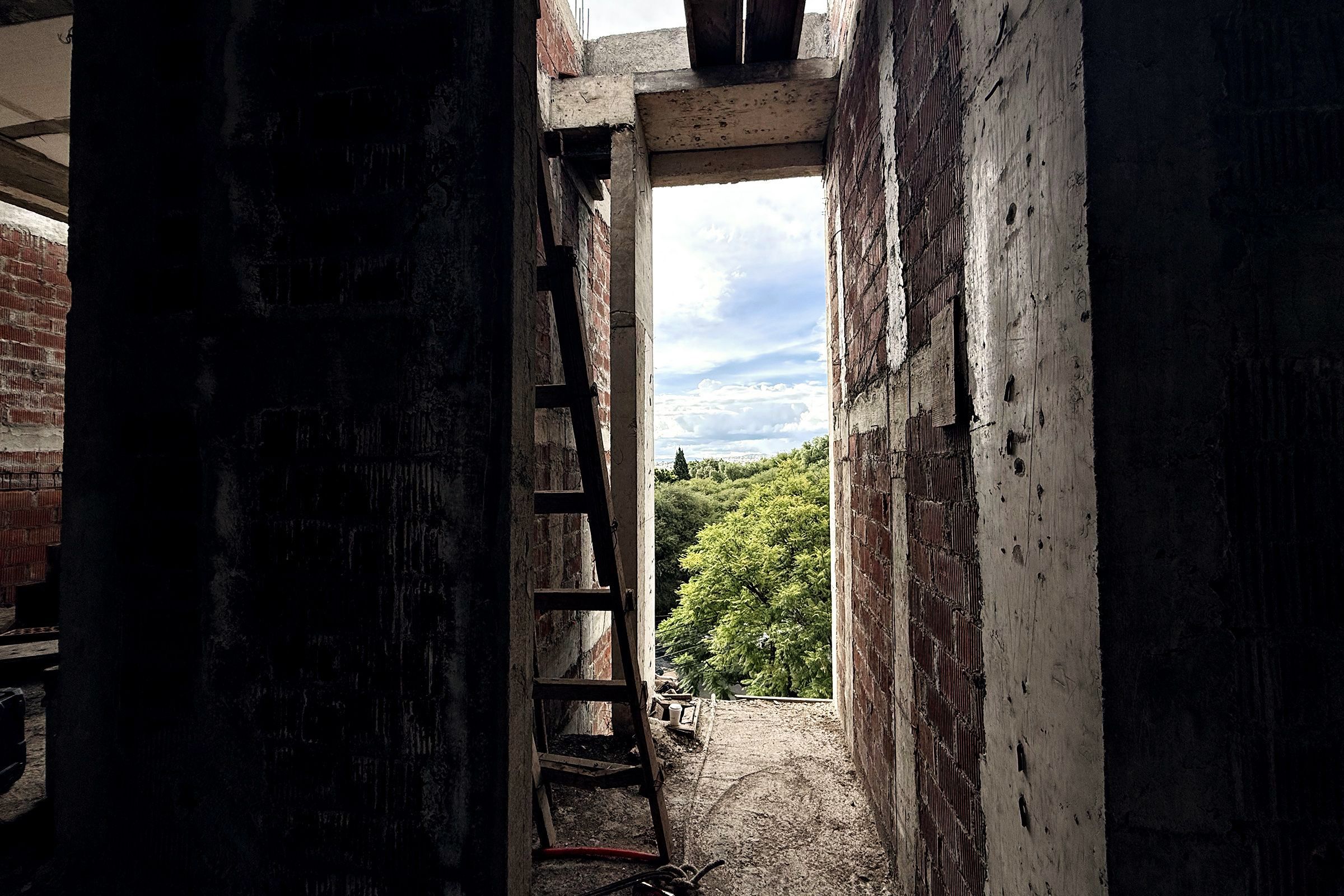 Ventana con los árboles de la calle