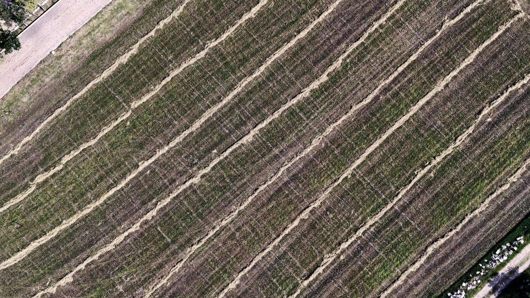 El terreno de Villas Santo Cristo visto desde arriba, con sus surcos