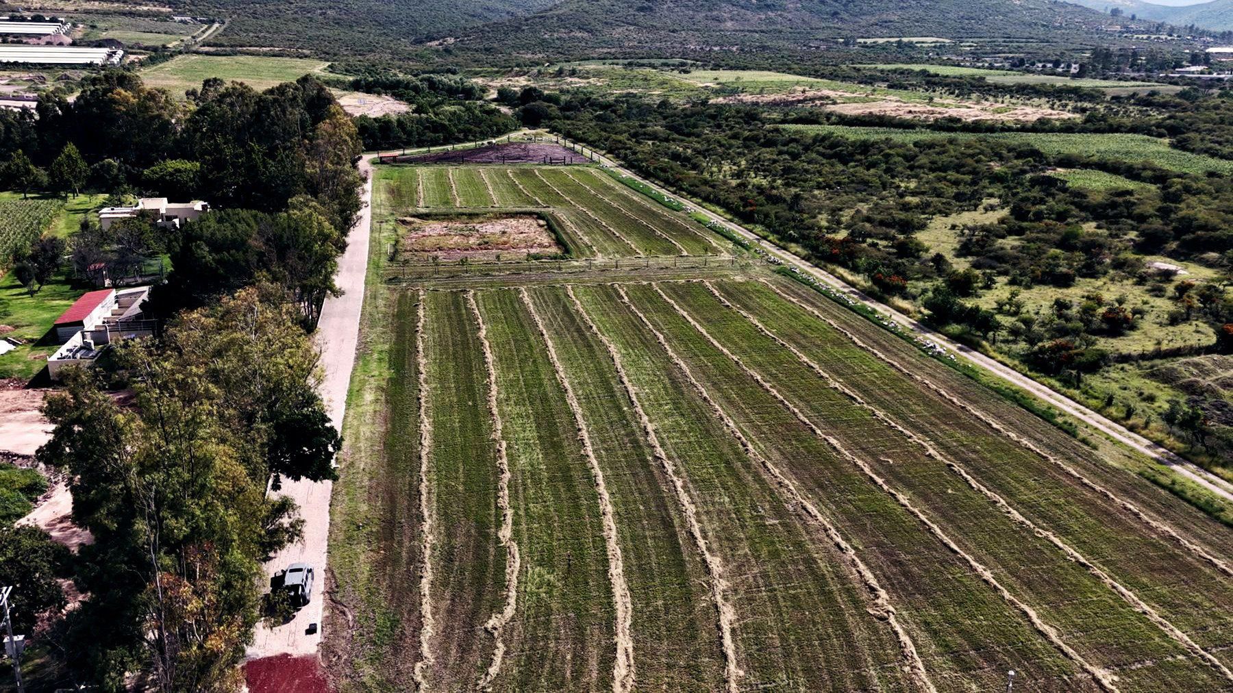Los surcos del terreno con la sierra al fondo